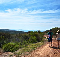 Moonee Beach trail - Accommodation Ballina
