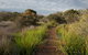 North Head Sanctuary - thumb 2