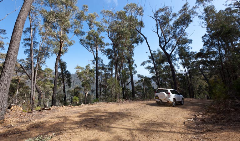 Wadbilliga NSW Accommodation Ballina