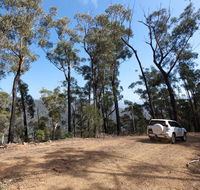 Wadbilliga Road drive - Accommodation Ballina