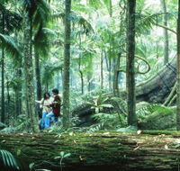 Illinbah circuit - Accommodation Ballina