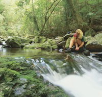 Dave's Creek circuit - Accommodation Ballina