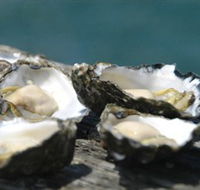 Jim Wilds Oyster Service - Accommodation Ballina