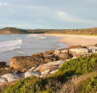 Burrawang track - Conjola Beach to Buckleys Point - Accommodation Ballina