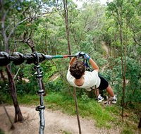 TreeTop Challenge - Accommodation Ballina