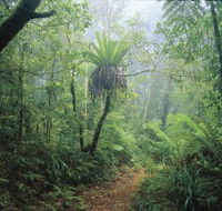 Wagawn - Accommodation Ballina