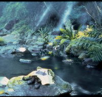 Coomera circuit - Accommodation Ballina