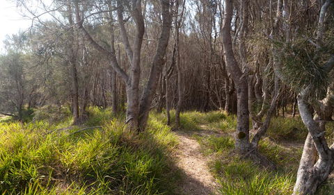 Murramarang Aboriginal Area Walking Track - Accommodation Ballina 1
