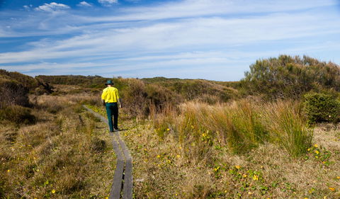 Murramarang Aboriginal Area Walking Track - Accommodation Ballina 3