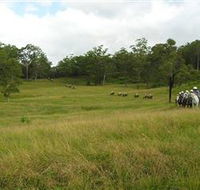 Numinbah Valley Adventure Trails - Accommodation Ballina