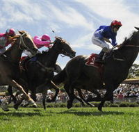 Moruya Racecourse - Accommodation Ballina