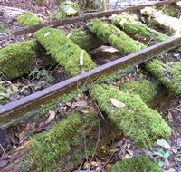 Wootton Historical Railway Walk - Accommodation Ballina