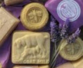 Honeycomb Valley Farm - Accommodation Ballina 0