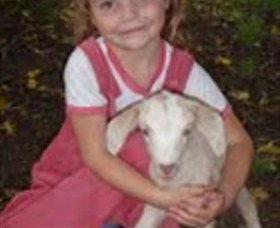 Honeycomb Valley Farm - Accommodation Ballina 7