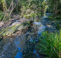Dawson River walking track - Accommodation Ballina