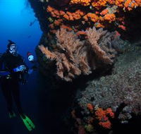 Gotham City Dive Site - Accommodation Ballina