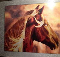 Silk Art Gallery - Accommodation Ballina