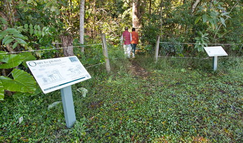 Rainforest Walk - Accommodation Ballina 0