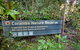 Rainforest Walk - thumb 1