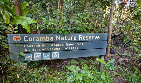Rainforest Walk - Accommodation Ballina 1