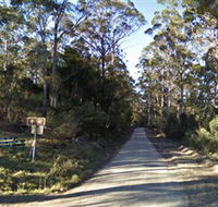 Box Cutting Rainforest Walk - Accommodation Ballina