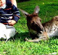 Bunbury Wildlife Park - Accommodation Ballina