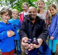 Wigay Aboriginal Culture Park - Accommodation Ballina
