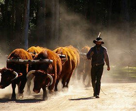 Timbertown Heritage Theme Park - Accommodation Ballina 1