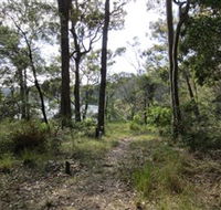 Ringlands Rotary Walk Narooma - Accommodation Ballina