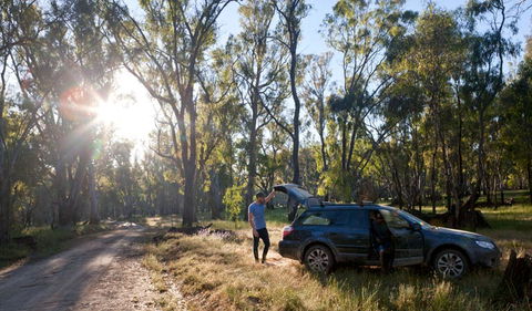 Wallingat Forest Drive - Accommodation Ballina 1