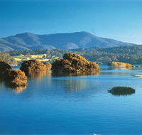 Wagonga Picnic Area - Accommodation Ballina