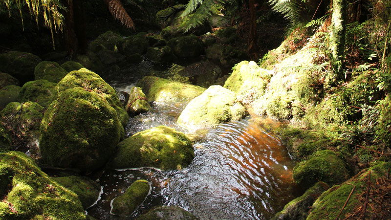 South Coast NSW Accommodation Ballina