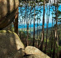 Mount Gulaga Mount Dromedary Walk - Accommodation Ballina