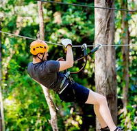 TreeTop Challenge Currumbin - Accommodation Ballina