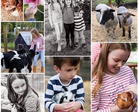 Roses Vineyard And Animal Farm - Accommodation Ballina 1