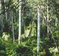 Lind National Park - Accommodation Ballina