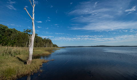 Lake Innes Nature Reserve - Accommodation Ballina 0