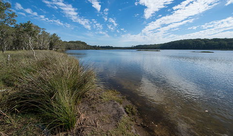 Lake Innes Nature Reserve - Accommodation Ballina 1