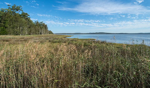 Lake Innes Nature Reserve - Accommodation Ballina 3