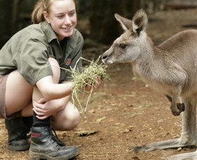 Macadamia Castle - Accommodation Ballina 2