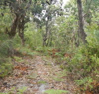 Kinchela Trig Lookout walk - Accommodation Ballina