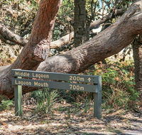 Middle Lagoon walking track - Accommodation Ballina