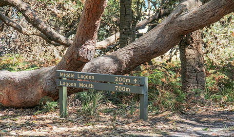 Middle Lagoon Walking Track - Accommodation Ballina 0