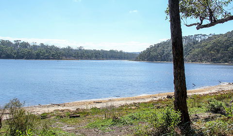 Middle Lagoon Walking Track - Accommodation Ballina 1