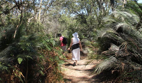 Nelson Lagoon - Accommodation Ballina 0