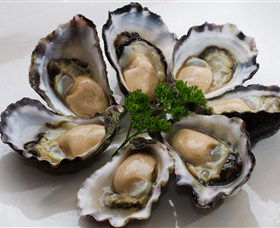 Tathra Oysters - Accommodation Ballina 0