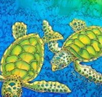 Sea Silks Gallery - Accommodation Ballina