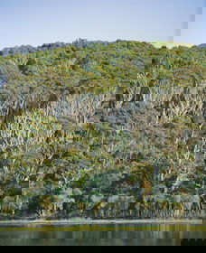 Ben Boyd National Park - Accommodation Ballina 5