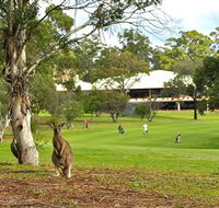 Pambula Merimbula Golf Club - Accommodation Ballina
