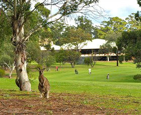 Pambula Merimbula Golf Club - Accommodation Ballina 0